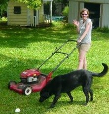[lawnmower[4].jpg]