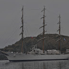 libertad