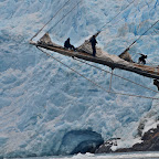 DSC_1559.jpg