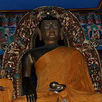 DSC_0911.jpg