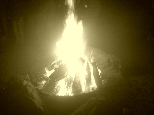 [20101211180635 (2)[3].jpg]