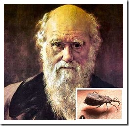 Charles Darwin Charles Darwin