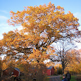 IMG_6366.JPG