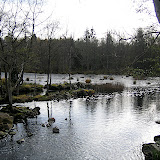 IMG_6382.JPG
