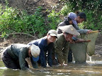 TDM-10-Laos-LuangPrabang-kayak-Elephant-77.jpg