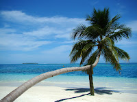 Hildon Maldives 270.jpg