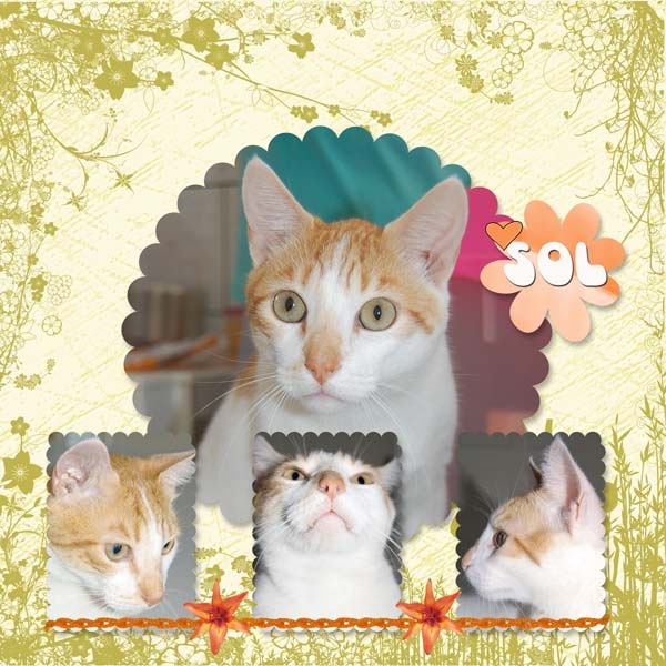 [Pritty_LoveSpring_1[3].jpg]