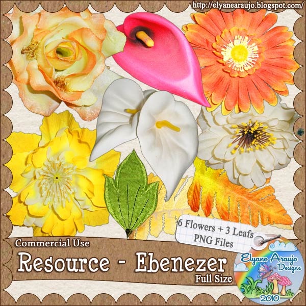 elyane_resource_ebenezer elyane_resource_ebenezer