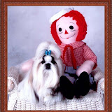 Ch. Hallmark Jolei Raggedy Andy