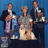 Potsey in July 1991