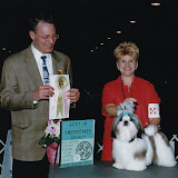Crazy Eights (April 2003)