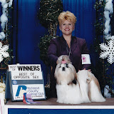 Cover Girl (December 2003)