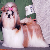 Betty