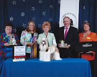 Austin wins Best of Breed