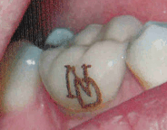 [tato gigi[11].gif]