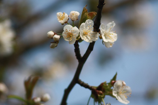 bIMG_0100