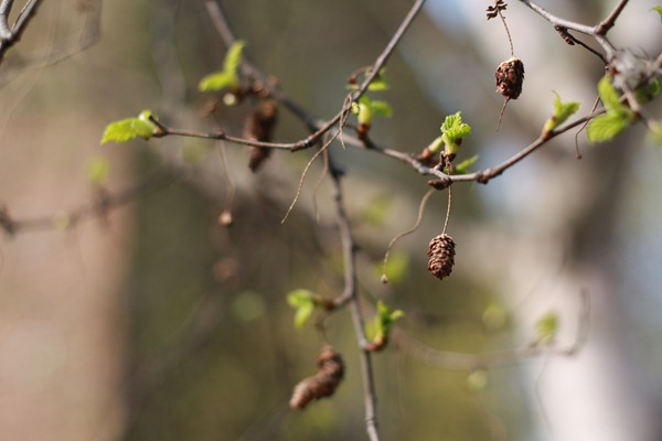 bIMG_0185