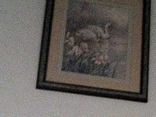 Iphone 4, recorte de toma en modo HDR
