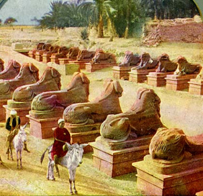 sphinxes at karnak, luxor