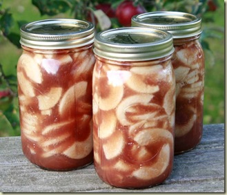 applepie jars 2010