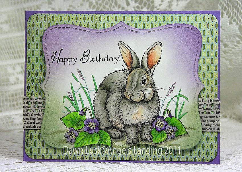 [TLC317 Bunny Birthday[6].jpg]