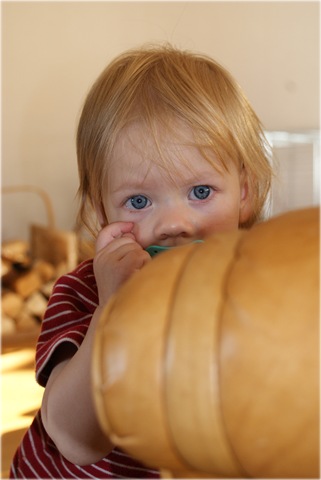 [augusti20090393.jpg]