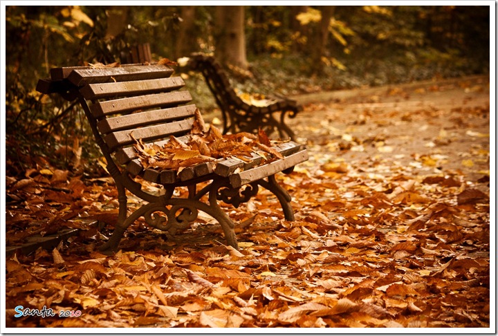 nov5 nov5