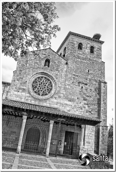 _MG_0173-Editar _MG_0173-Editar