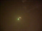 S7300335.JPG