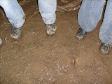 S7300195.JPG