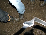 DSCF5972.JPG
