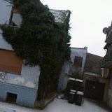 Sollte das Schnee sein?