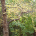 SDC10028.JPG