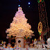 SDC10110.JPG