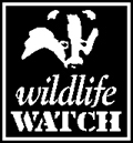 watch_logo.jpg