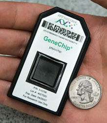 PhyloChip.jpg