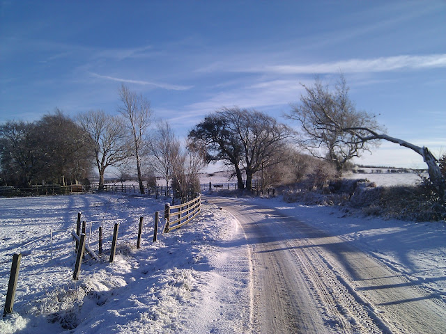 snowy corner