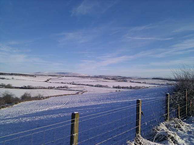 fields