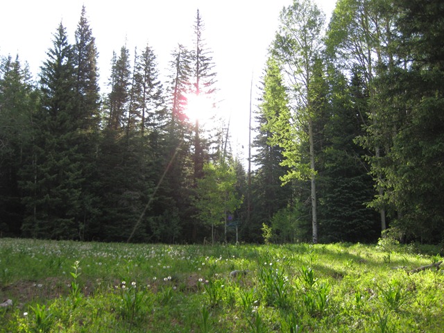 [west elk backpacking 026[2].jpg]