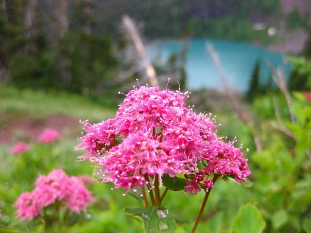 [glacierg0622.jpg]