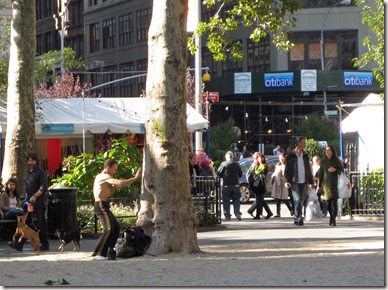 NYC 2010 027