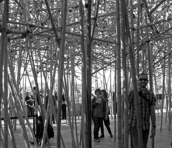 [NYC20101523.jpg]