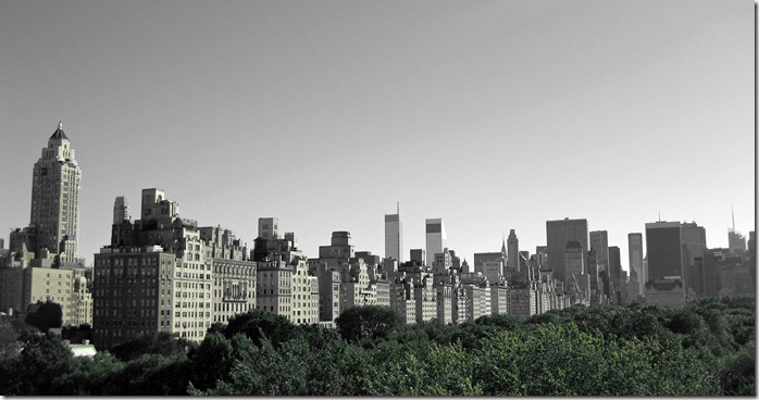 NYC 2010 178