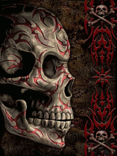 [240x320-skull-mobile-wallpaper[2].png]