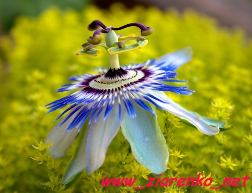 http://lh4.ggpht.com/_Sk1BvEVaxbs/S5fs04HxgiI/AAAAAAAAA-A/olsNFj5Tczk/175581943_2a0eb8363a.jpg