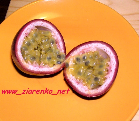 Kwiat męki pańskiej Passiflora marakuja