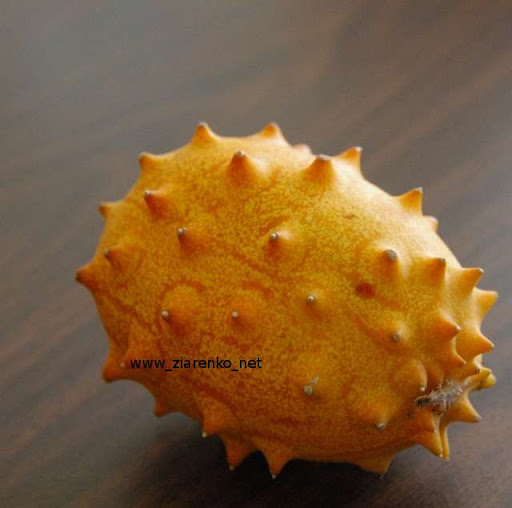 Kiwano Cucumis metuliferus