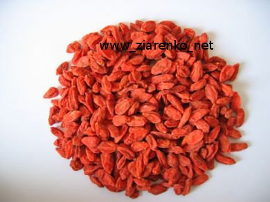 JAGODY GOJI, Kolcow�j pospolity (Lycium barbarum)