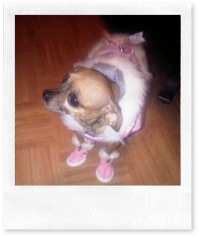 Talia in boots