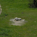 Győr 2010.04.18 061.JPG